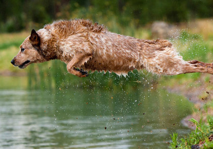 BIG4 Gold Coast Holiday Park and Motel - Image 4