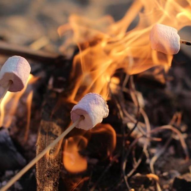 BIG4 Moruya Heads Easts Dolphin Beach Holiday Park - Image 4