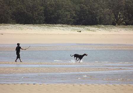 Bucasia Beachfront Caravan Resort - Image 2