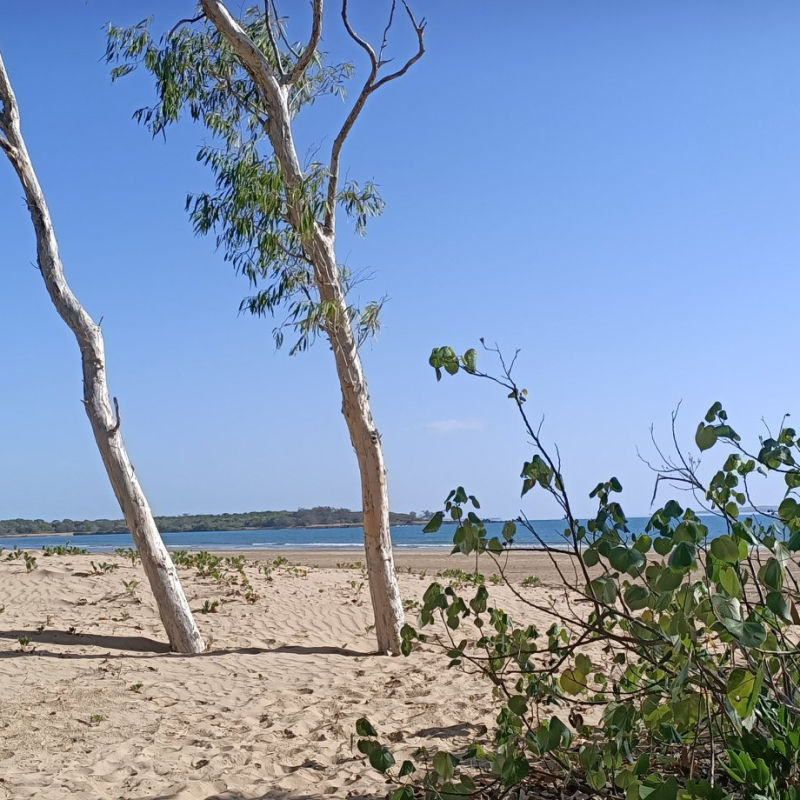 Cape Palmerston Holiday Park - Image 3