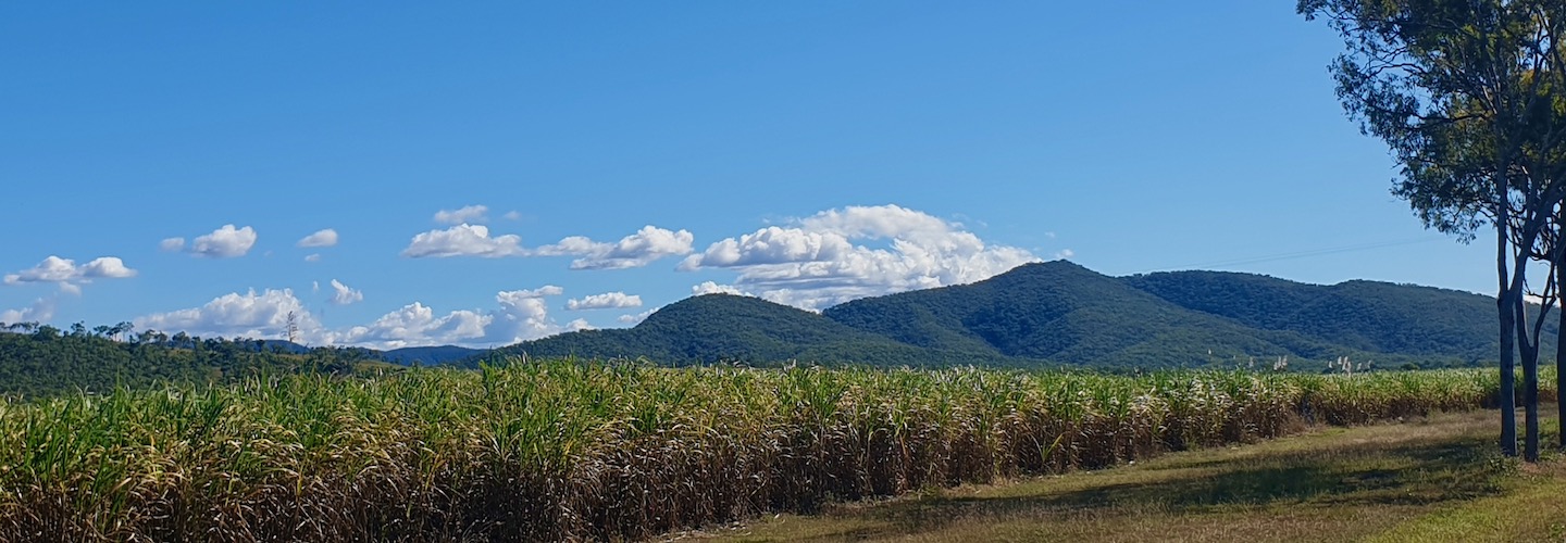 Carmila Caravan Park and Motel - Image 3