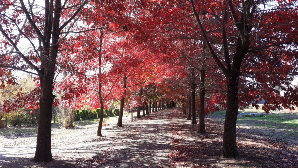 CRB Campground - Image 2