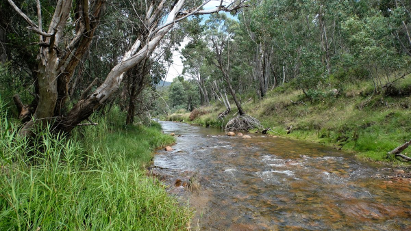 CRB Campground - Image 3