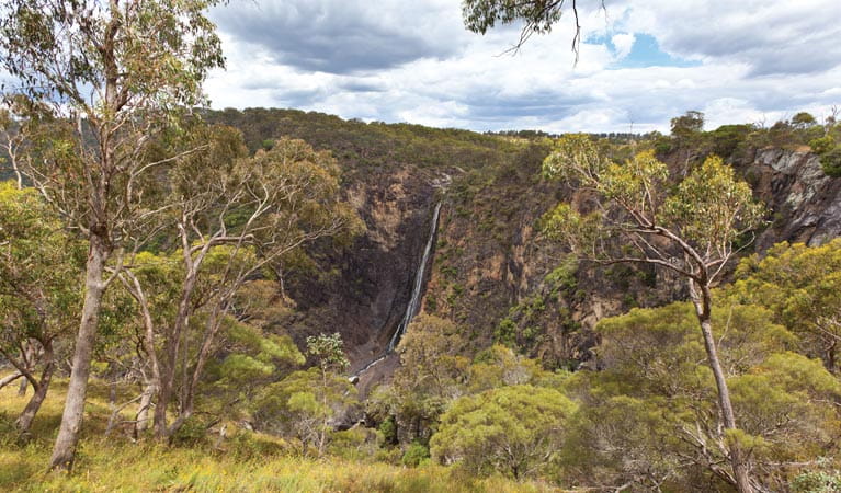 Dangar Falls Picnic Area - Image 2