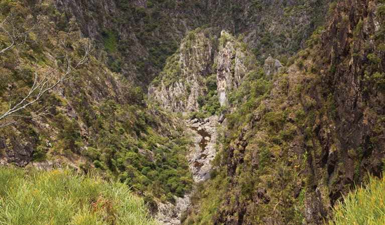 Dangar Falls Picnic Area - Image 3