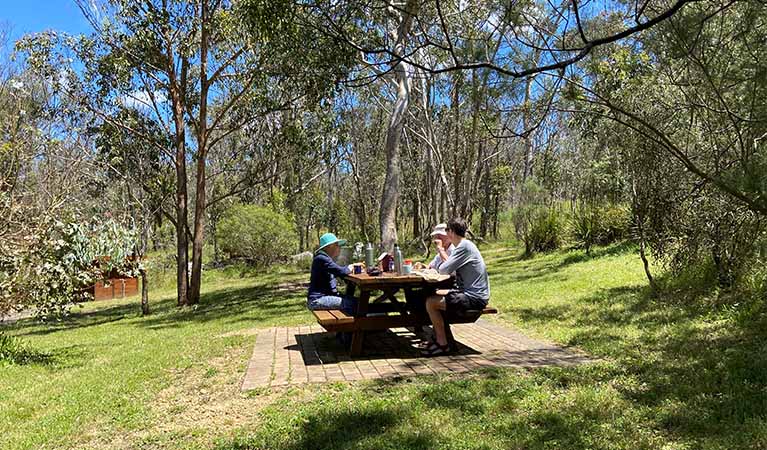 Dangar Falls Picnic Area - Image 4