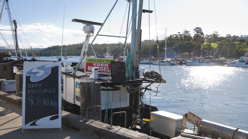 Discovery Parks Eden - Image 3