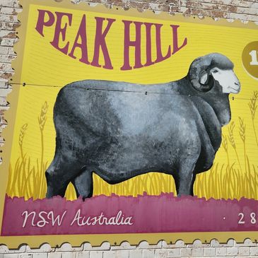 Double D Caravan Park - Image 2