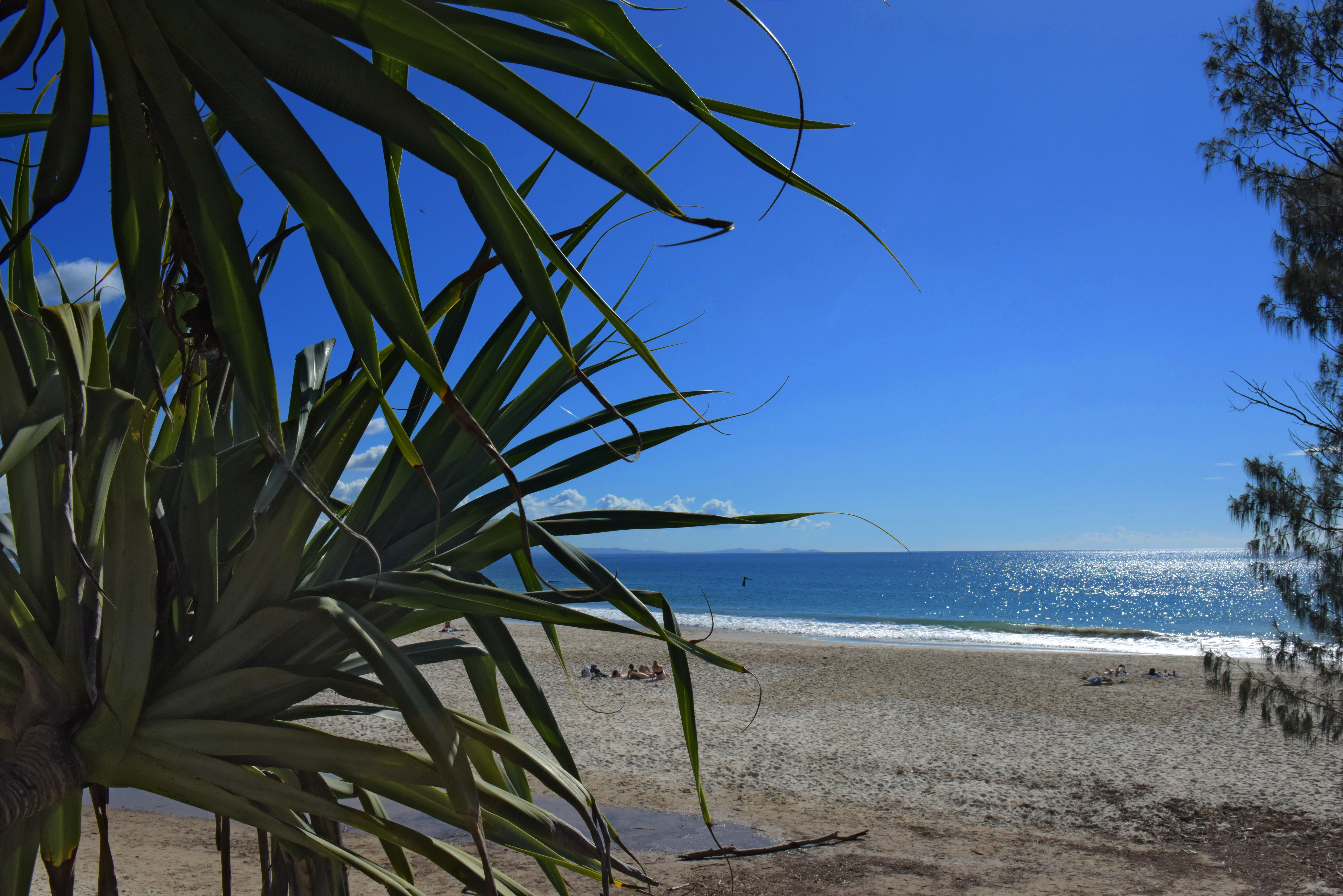 First Sun Holiday Park - Main image