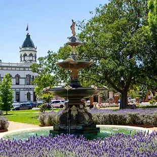 Forbes Holiday Park - Image 5