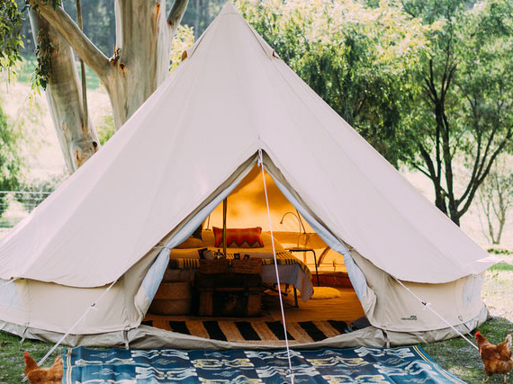 Gracetown Caravan Park - Image 3