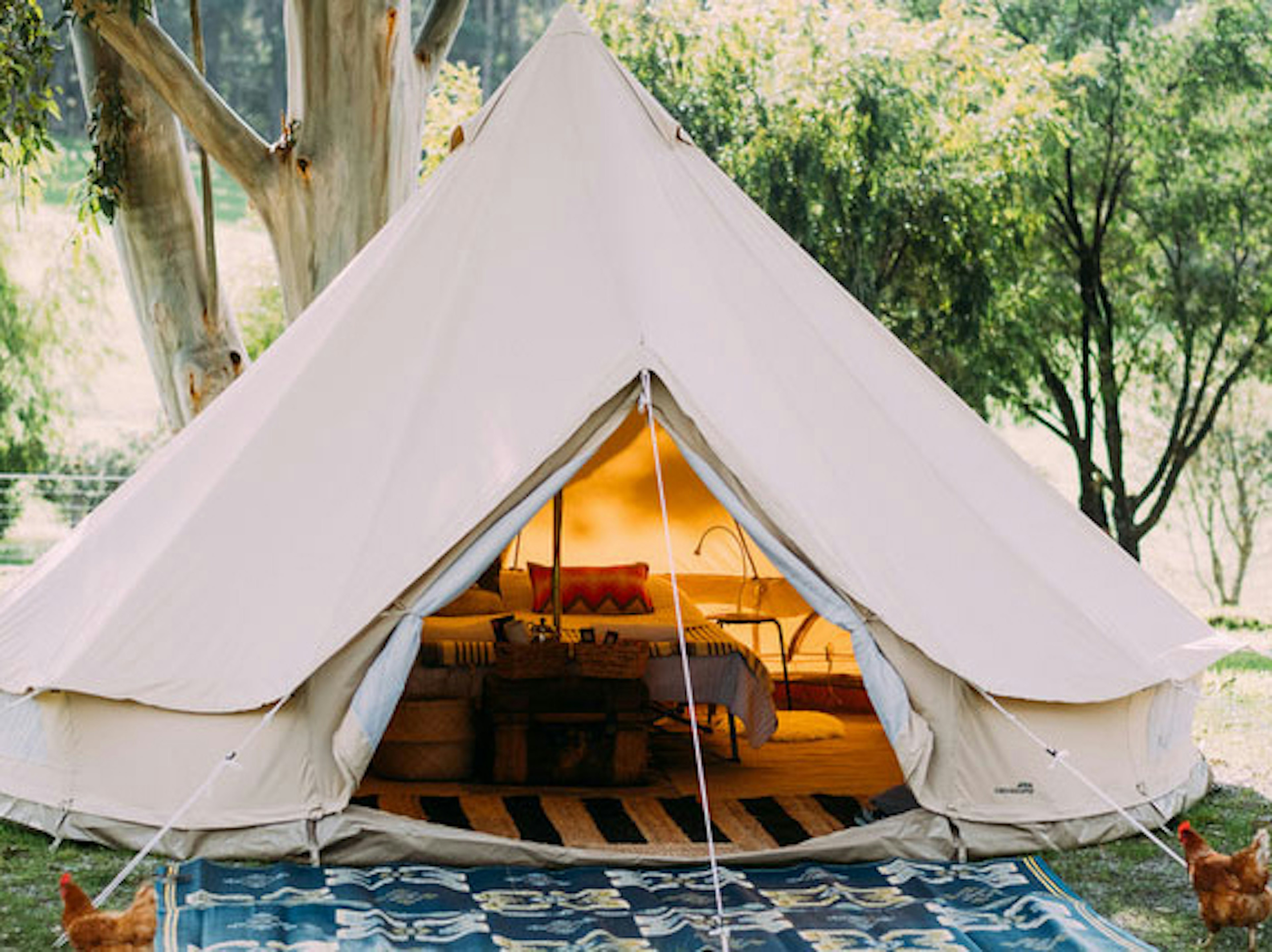 Gracetown Caravan Park - Image 3