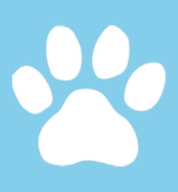 John Oxley Caravan Park - Image 5