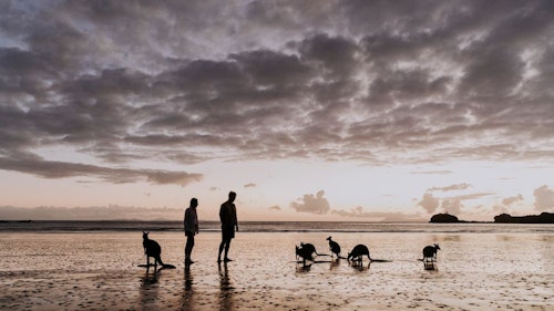 Mackay Marine Tourist Park - Image 4