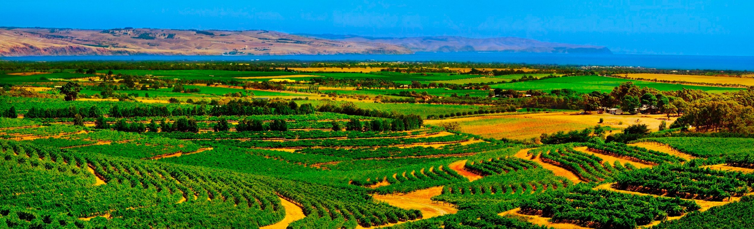 Mount Compass Caravan Park - Main image