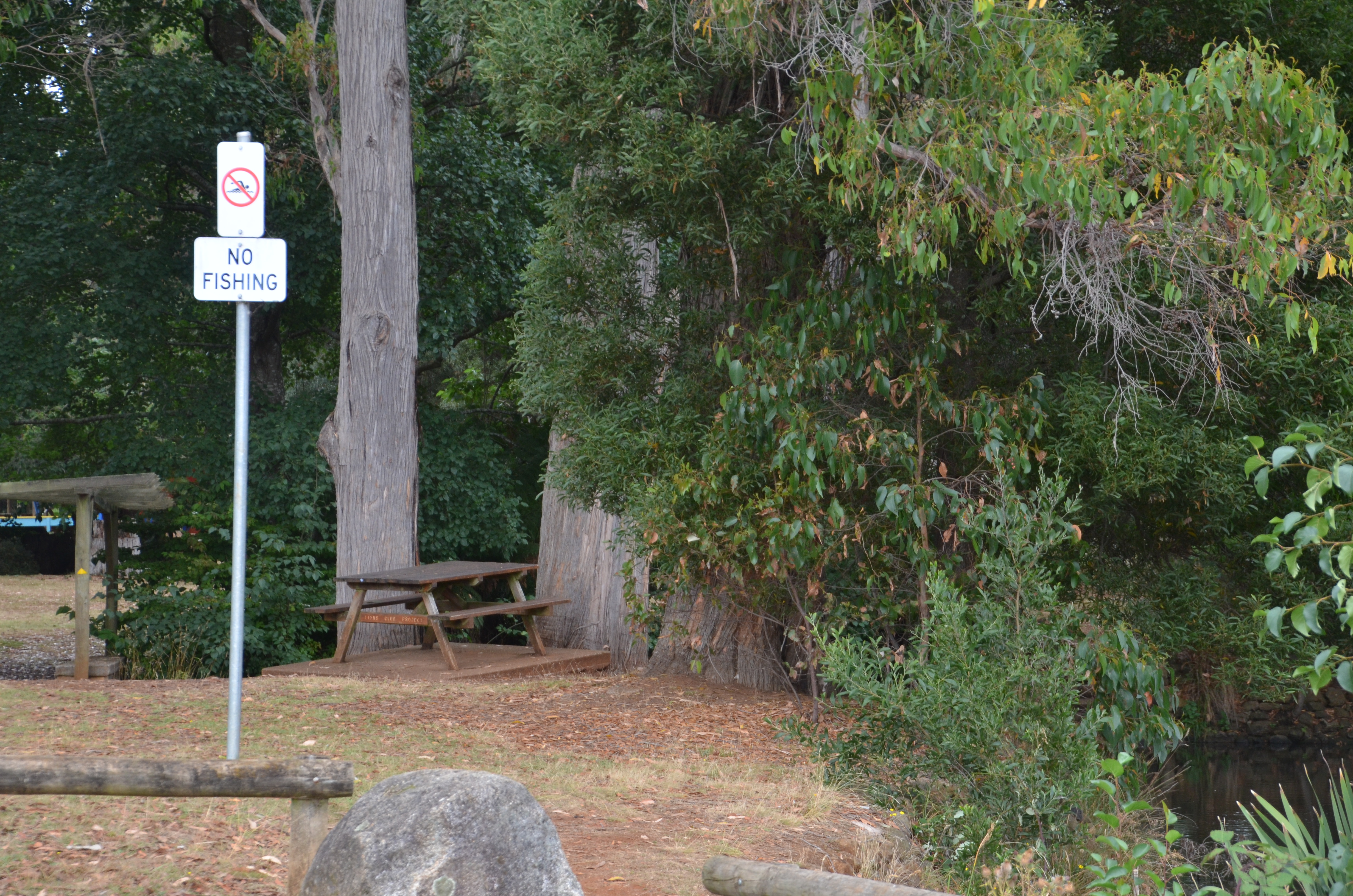 Northeast Caravan Park Scottsdale - Image 3