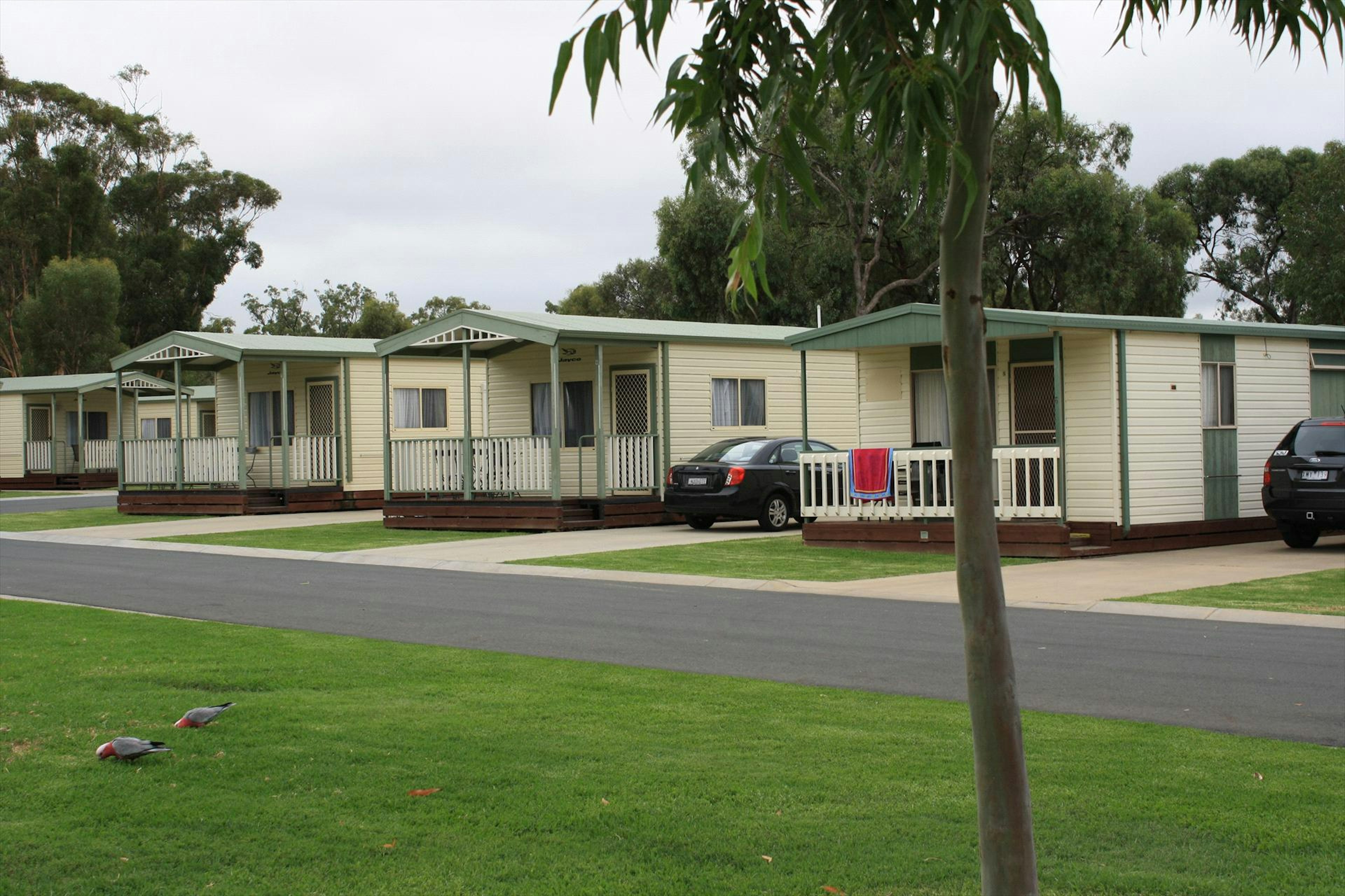 NRMA Echuca Holiday Park - Image 2