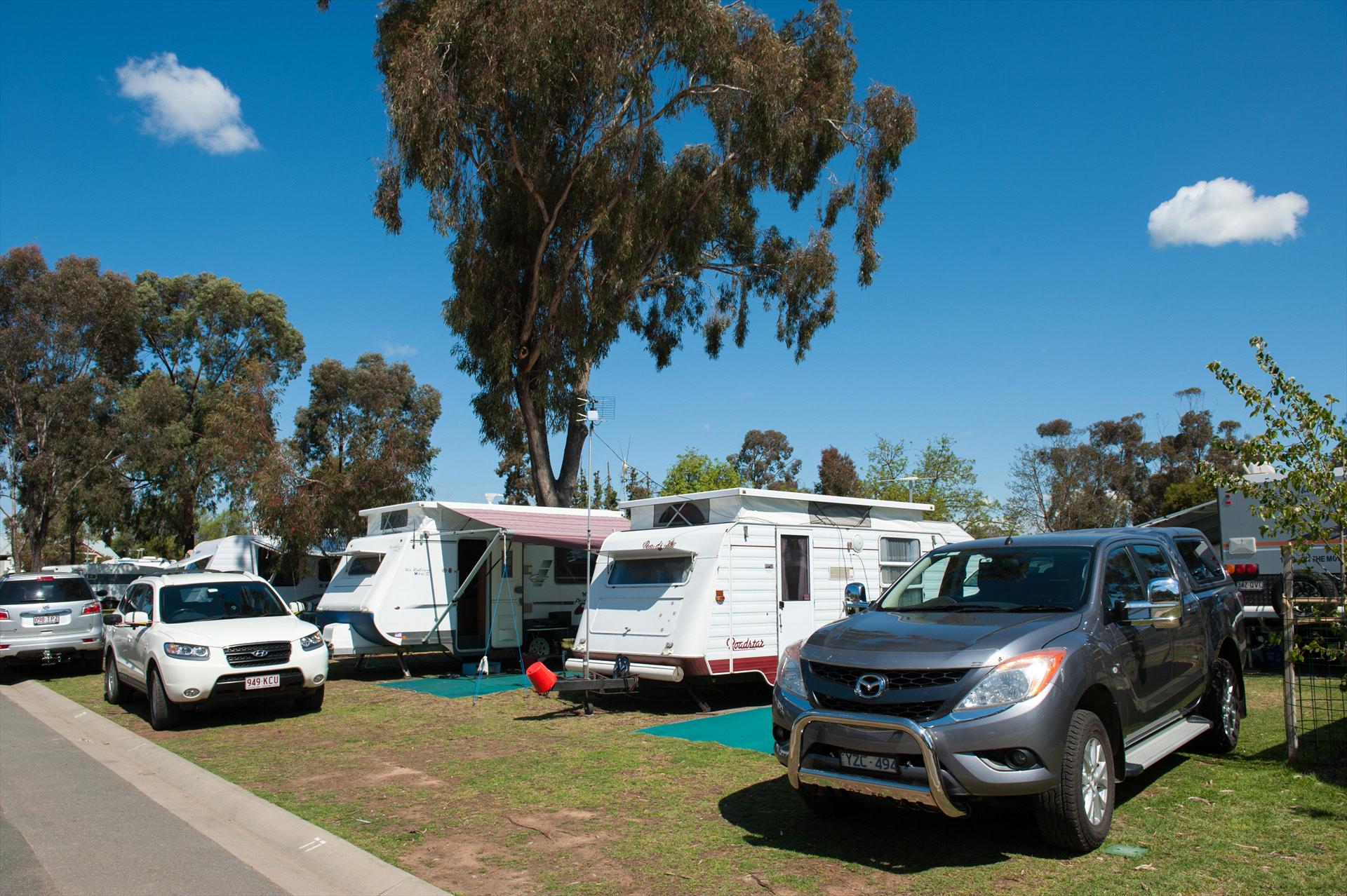 NRMA Echuca Holiday Park - Image 4