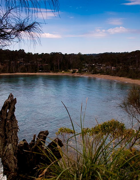 Pleasurelea Tourist Park - Main image