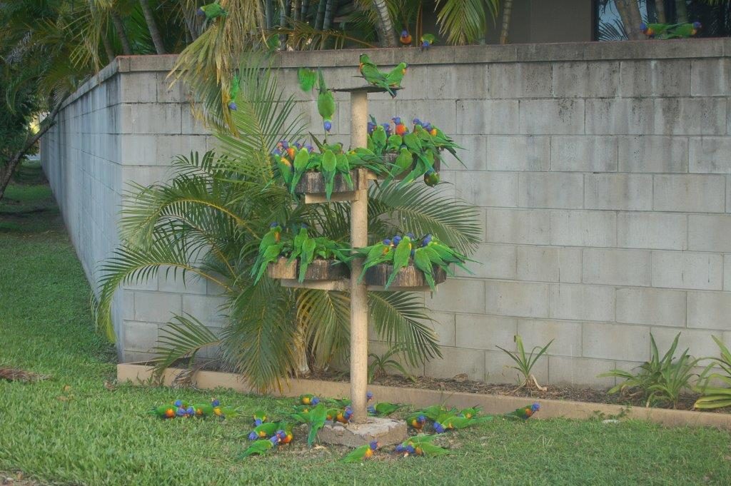 Premier Caravan Park - Main image