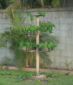 Premier Caravan Park - Image 2