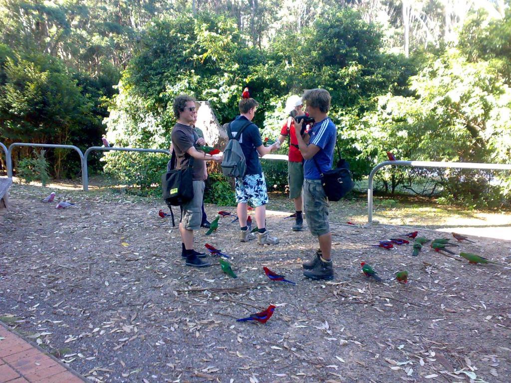 Shady Willows Tourist Park - Image 4