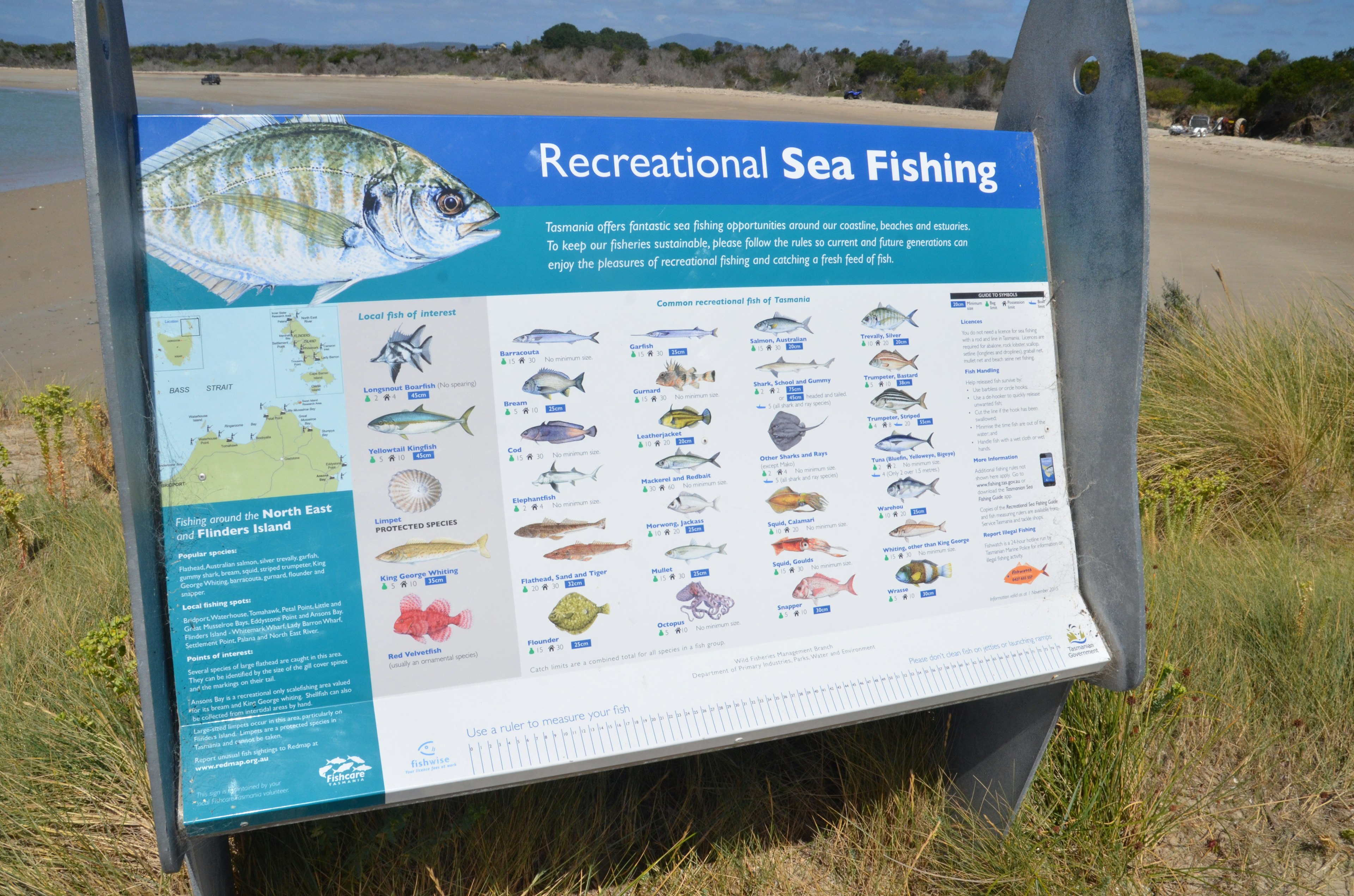 Tomahawk Caravan Park - Image 4