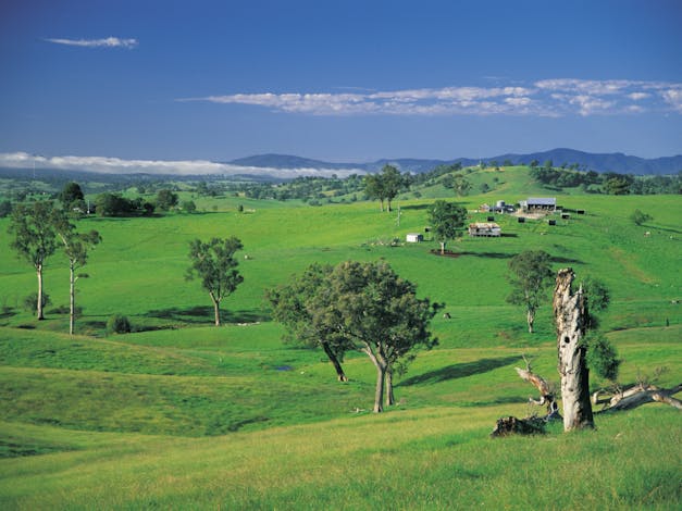 Wallaga Lake Resort - Image 3