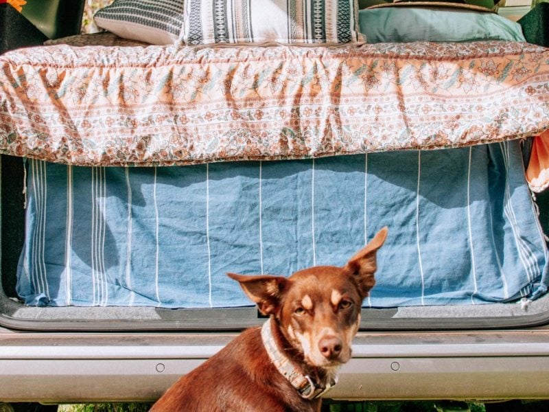 Wooyung Beach Caravan Park - Image 3