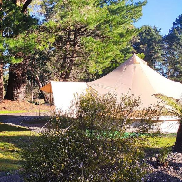 Zeehan Bush Camp - Image 5