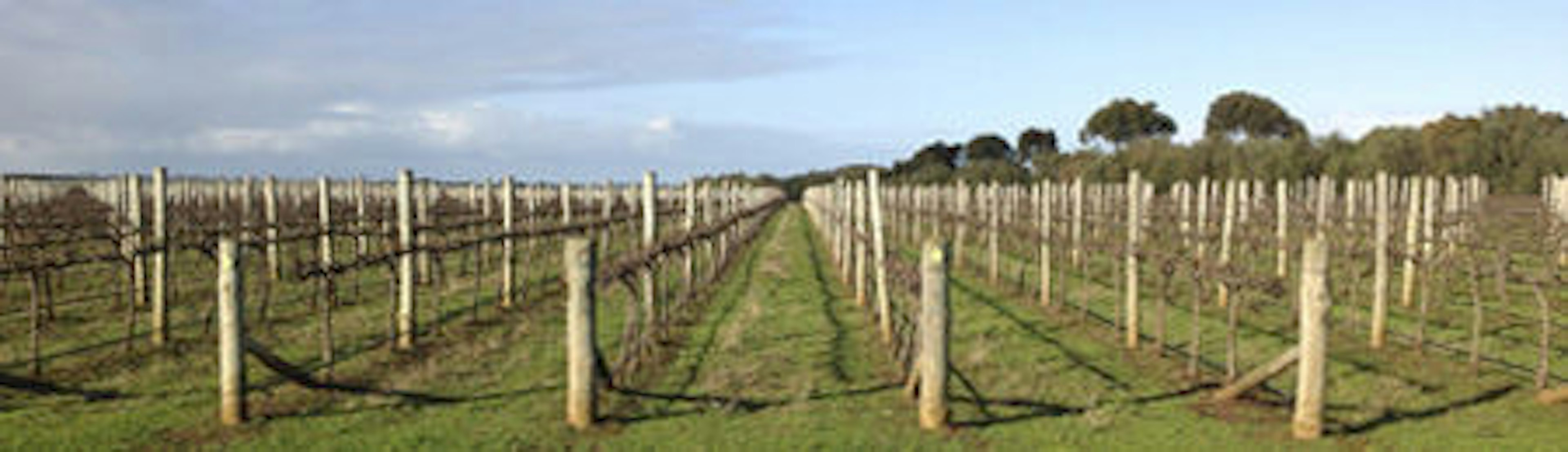 Fleurieu Peninsula landscape