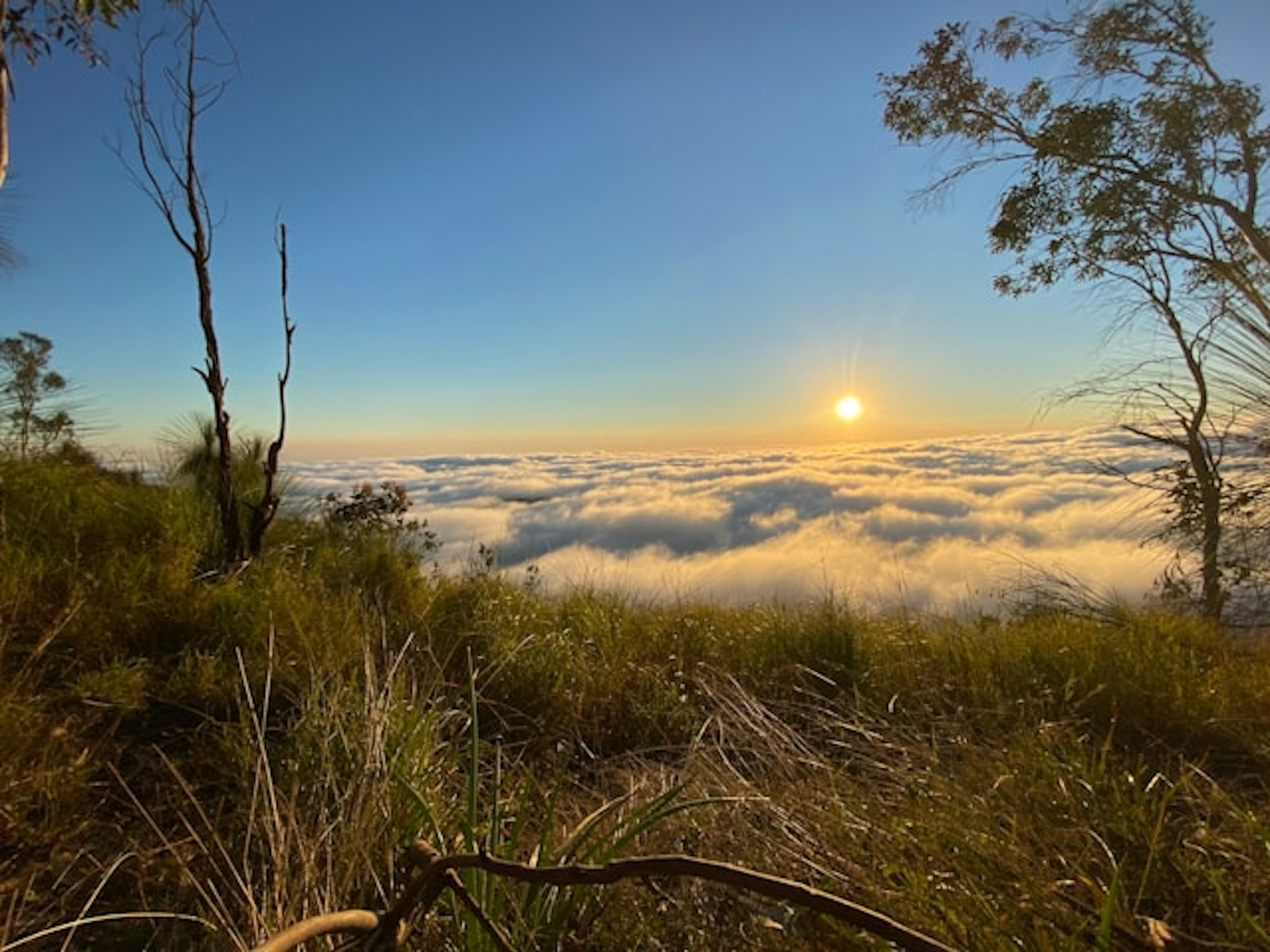 Granite Belt landscape