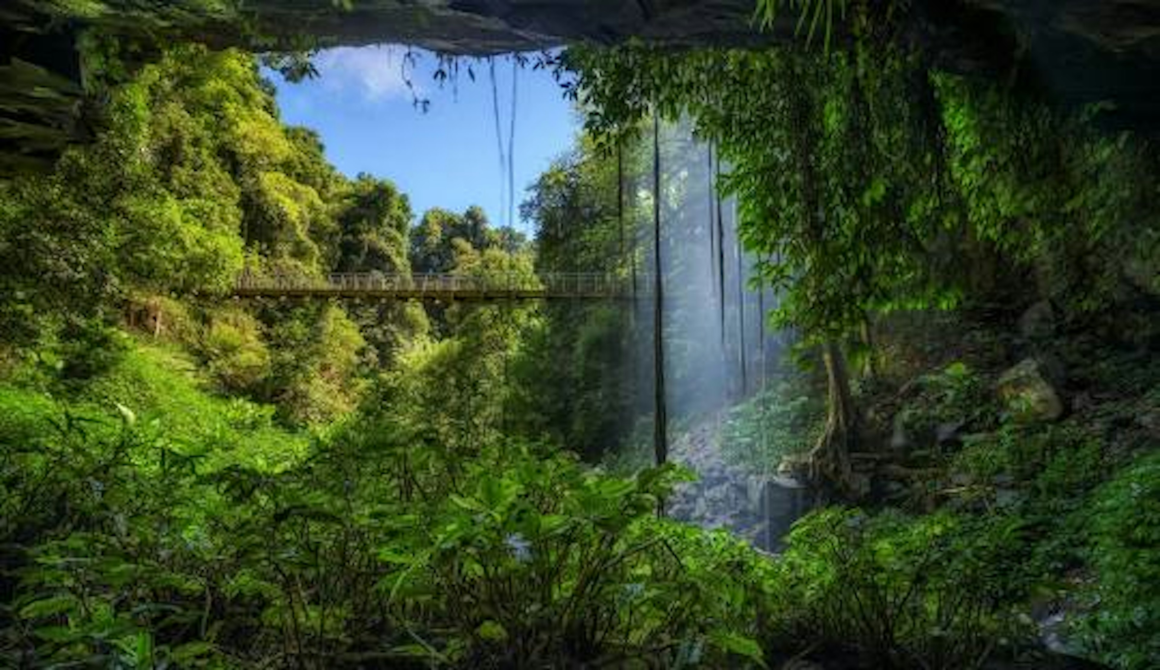 Northern Rivers landscape