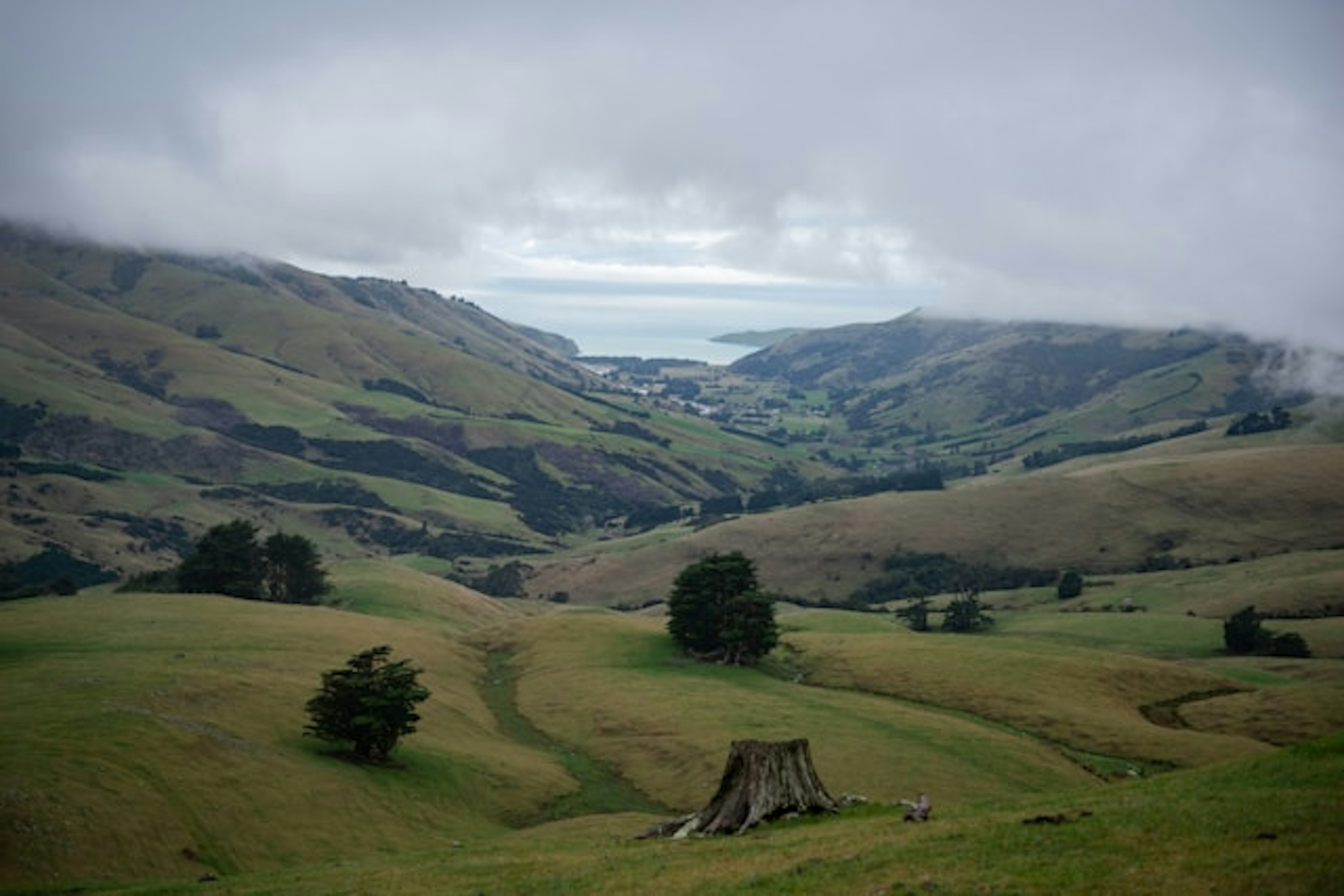 South Gippsland landscape