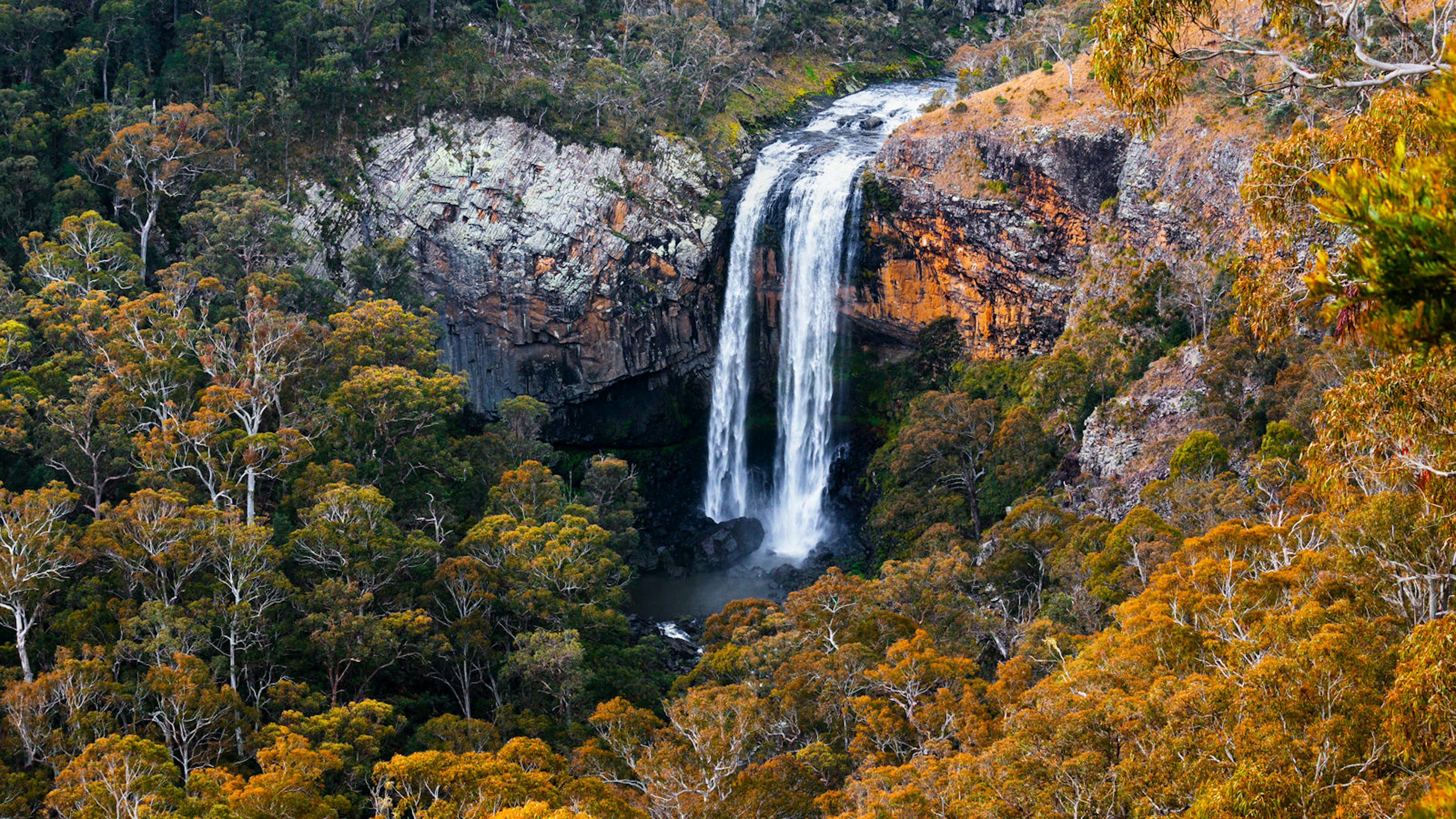 Waterfall Way landscape